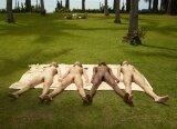 Pictures  Erotic